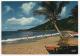 - GUADELOUPE. - Lot De 29 Cartes De Guadeloupe. -  Toutes Scanées - (port En Plus) - - 5 - 99 Cartoline