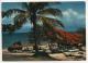 Delcampe - - GUADELOUPE. - Lot De 29 Cartes De Guadeloupe. -  Toutes Scanées - (port En Plus) - - 5 - 99 Cartoline