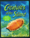 AUSTRALIA - 2005 Creatures Of The Slime Presentation Pack As Scans - Presentation Packs