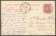 E.P. Paquebot N°15 Obl. Sc TONGRES Du 5 Juin 1923 Vers Mazamet (FR).  TB  - 9145 - Cartoline Piroscafi