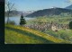 Litho Unterägeri Kanton Zug Suisse Panorama Tannenbaum 31.12.1934 Nach Pfullendorf - Unterägeri