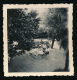 Photo Originale (Août 1955) : TURIN,TORINO,  CAVORETTO, Les Magnolias (Italie) - Parken & Tuinen