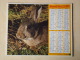 Calendrier ALMANACH DU FACTEUR PTT - 1979 - Animaux - OBERTHUR - Nord 59 - Bon état - Small : 1971-80