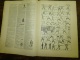 Delcampe - 10 Fascicules Du Larousse Illustré Continuant E Et Commençant Sur F...: Europe,Etats-Unis,Eclaira Ge,Escrime,  Etc - Dictionnaires