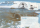 EXPLORERS, BELGICA MISSION, SHIP, WHALES, COVER STATIONERY, ENTIER POSTAL, 2X, 1997, ROMANIA - Explorers