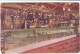 Portland OR Oregon, Billy Winter's Log Cabin Bar With Aquarium, C1910s Vintage Postcard - Portland