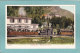 BREITLAUENEN  -  STATION  UND  HOTEL  -  TRES  BELLE CARTE  PRERCURSEUR ANIMEE - - Lauenen