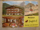 Austria  - Pension Jagdhof  Ramsau Am Dachstein  -Steiermark   D108165 - Ramsau Am Dachstein