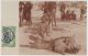 18844g CONGO BELGE - ETHNOGRAPHIQUE - Phacochère - Katanga  - 1909  - Carte Photo - Congo Belge