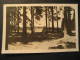 Masserberg Thur Wald 1953 To Plauen Germany Stamp On Post Card DDR - Masserberg