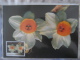 Greece 2005 Greek Flora Set Of 5 Maximum Cards - Maximum Cards & Covers