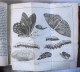 Delcampe - Le SPECTACLE De La NATURE / 2 Tomes / Veuve Étienne éditrice En 1741 & 1743 / Nombreuses Gravures Dépliantes - 1701-1800