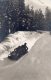 FAVERGES PISTE ET COURSE DE BOBSLEIGH CARTE PHOTO - Faverges