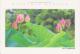 AKJP Japan Postcards Takamatsu - Ritsurin Garden  - Lotus Flowers - Cherry Blossom - Crane - Tea Ceremony House - Colecciones Y Lotes