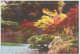 Delcampe - AKJP Japan Postcards Takamatsu - Ritsurin Garden  - Lotus Flowers - Cherry Blossom - Crane - Tea Ceremony House - Collections & Lots