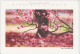 Delcampe - AKJP Japan Postcards Takamatsu - Ritsurin Garden  - Lotus Flowers - Cherry Blossom - Crane - Tea Ceremony House - Collezioni E Lotti