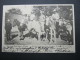 1905, ABBABIS, Feldpostkarte Mit Ansicht Nach Dresdenn - German South West Africa