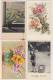 8 OLD POSTCARDS - BLOEMEN / FLEURS / FLOWERS / BLUMEN: NEDERLANDSE FRANKERING - (3 Scans) - 5 - 99 Postkaarten