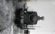 Photo Loco  Des F.P N° 42 Ligne FERRARA -OSTELLATO-CODIGORO Col Schnabel - Matériel