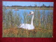 Mute Swan - Cygnus Olor - Birds - 1987 - Estonia - USSR - Unused - Oiseaux