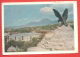 132714 / Pyatigorsk 1961 North Caucasian PAHORAMA STATUE EAGLE / Stationery Entier  / Russia Russie Russland Rusland - 1960-69