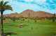 210831-Arizona, Phoenix, Arizona Country Club Golf Course, Camelback Mountain, Petley - Phoenix
