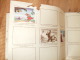 Album Chromos Chocolat Menier Les Fables De La Fontaine Avec 36 Images Sur 132 - Albums & Catalogues