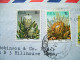 South Africa 1980 Cover To England - Flowers Protea - Autres & Non Classés