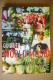 PBV/25 Guide To WORLD MUSIC PRODUCED In FRANCE  Bureau Expert 2001 - Cinema & Music