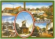AK WITTMUND Ostfriesland Mehrbildkarte 5 Bilder Mit Windmühle 17.7.89-18 2944 WITTMUND Ma - Wittmund