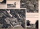 Vieux Papiers - Documents D'urbanisme - Londres - Buckingham Palace - 2 Pages - Architektur