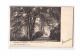 BELGIQUE Le Roeulx, Parc, Sous Bois, Ed Nels, 1904, Dos 1900 *** Princesse De Croij *** - Le Roeulx