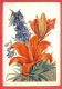 132949 / Flora Flore 1959 Flower Fleur Blüte Lilien Lilium Delphinium By MOROZOVA / Stationery Entier / Russia Russie - 1950-59