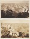 Lot Of 4 Different Views Of Grand Canyon On C1910s Vintage Real Photo Postcards - USA National Parks