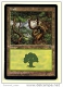 Karte Magic The Gathering  -  Land  -  Wald  -  Deutsch - Autres & Non Classés