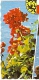 Delcampe - AK 561 Kurort Pörtschach Am Wörthersee. Kärnten, Austria Mehrbildkarte 5 Bilder 8-8 1967 9210 PÖRTSCHCH WÖRTHERSEE Werbe - Pörtschach