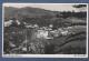 PORTUGAL - CP FUNCHAL - MADEIRA - FOTO PERESTRELLOS N° 253 - 1954 - Madeira