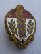 INSIGNE 4° SIM, Section D'Infirmiers Militaires - DRAGO PARIS - Medicina