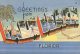 (707)  Older Postcard - Carte Ancienne - USA - Palm Beach - Cracker Barrel Card + Taxed - Palm Beach