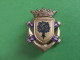 INSIGNE MARINE CHATEAURENAULT Commandos - Marinera