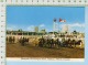 Alberta Canada Calgary Stampede (chuckwagon Races ) Post Card Carte Postale   2 Scans - Calgary