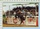 Alberta Canada Calgary Stampede (Ride-N-High On A Bare Back Bronc ) Post Card Carte Postale - Calgary