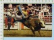 Alberta Canada Calgary Stampede (Brahma Bull Riding  ) Post Card Carte Postale   2 Scans - Calgary