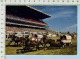 Alberta Canada Calgary Stampede ( Chuckwagon Races  ) Post Card Carte Postale - Calgary