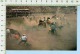 Alberta Canada Calgary Stampede ( Wild Horse Roping  ) Post Card Carte Postale 2 Scans - Calgary