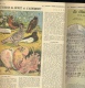 RUSTICA Supplément CALENDRIER 1952 PIGEONS CHASSE COIFFES TRADITION  JEUX OLYMPIQUES / 98 Pages - Tuinieren
