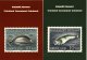 Set 5 Postcards GREENLAND Stamps Kalaallit Nunaat Post Office - Groenland