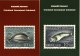 Set 5 Postcards GREENLAND Stamps Kalaallit Nunaat Post Office - Greenland