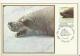 ARGENTINA 1983 – MAXIMUM CARD F.D.ISSUE ANTARTIC FAUNA  – FOCA CANGREJERA – LOBODON CARCINOPHAGUS NEW W 1 ST OF 2 $ POST - FDC