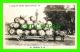 NAMUR, QUEBEC - A LOAD OF EXTRA GOOD APPLES - CANADIAN POST CARD CO - TRAVEL IN 1944 - ATTELAGE DE MÛLES - - Autres & Non Classés